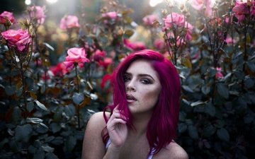 цветы, девушка, розы, взгляд, волосы, лицо, куст, веснушки, красные волосы