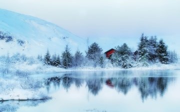 деревья, снег, природа, зима, отражение, домик