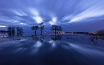 деревья, вечер, озеро, отражение