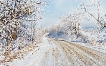 дорога, деревья, снег, зима