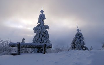 снег, дерево, зима, утро, скамья