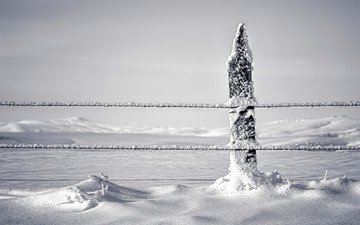 снег, природа, зима, проволока, забор, ограждение