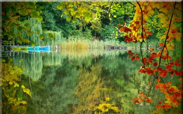озеро, природа, лес, отражение, осень, лодки