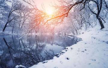 деревья, река, снег, закат, зима, отражение, ветки