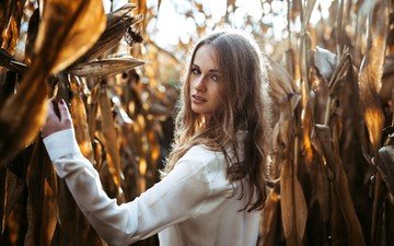 девушка, портрет, взгляд, волосы, кукуруза, лицо, кукурузное поле