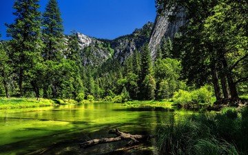 деревья, река, горы, сша, калифорния, йосемити, йосемитский национальный парк, сьерра-невада, ка­ли­фор­нийс­кая, река мерсед, merced river, йосемитский национальный парк.