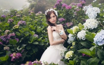 цветы, девушка, взгляд, модель, лицо, азиатка, белое платье, невеста, гортензия