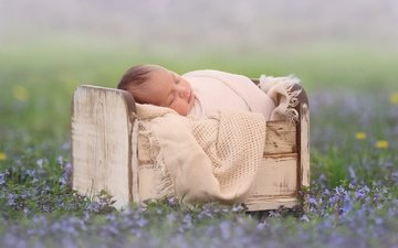 цветы, сон, дети, младенец, боке, спящий, кроватка