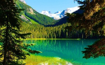 деревья, озеро, горы, природа, лес, пейзаж, сосны, канада, британская колумбия, снежная вершина, национальный парк