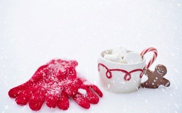 снег, зима, кружка, перчатки, горячий шоколад, маршмеллоу, имбирный пряник