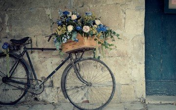 цветы, стена, франция, велосипед, ящик