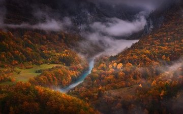 деревья, река, горы, лес, туман, вид сверху, осень
