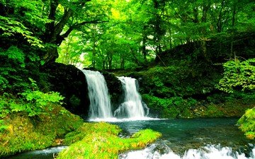 деревья, вода, природа, лес, пейзаж, водопад, поток, водопады, растительность