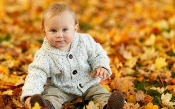 листья, парк, осень, сидит, игра, ребенок, мальчик, малыш, сын, милый, на открытом воздухе