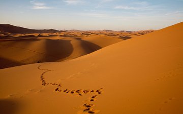 природа, пейзаж, песок, пустыня, следы, дюны