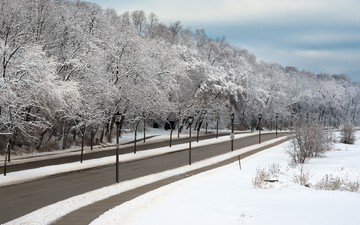 дорога, деревья, фонари, снег, зима, ветки, город, улица