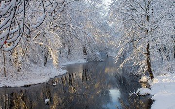 деревья, река, снег, зима, отражение, пейзаж, ветви, мороз