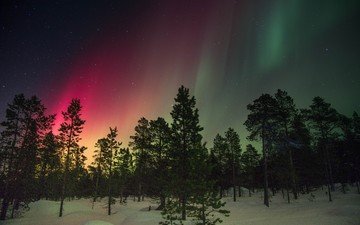 деревья, снег, зима, свечение, северное сияние, финляндия