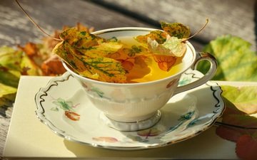 блюдце, чашка, чай, фарфор, осенние листья