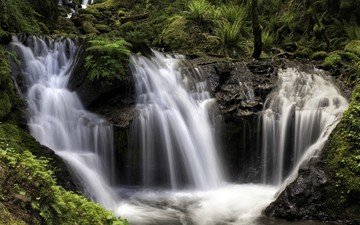 природа, растения, скала, водопад, поток, папоротник, водопады