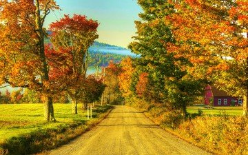 дорога, деревья, природа, пейзаж, осень, дом, природа.