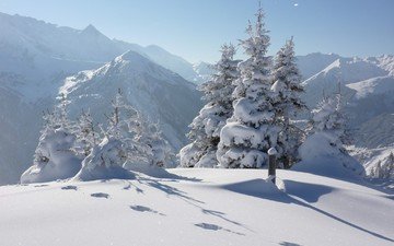 деревья, горы, снег, природа, лес, зима, следы
