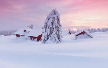снег, дерево, пейзаж, утро, дома, сугробы