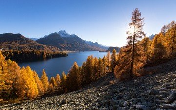 деревья, озеро, горы, камни, лес, осень, швейцария, альпы, озеро зильс
