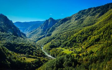 горы, природа, лес, пейзаж, долина, горная река, черногория, горы.лес, река тара