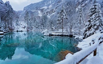 озеро, снег, природа, лес, зима, пейзаж