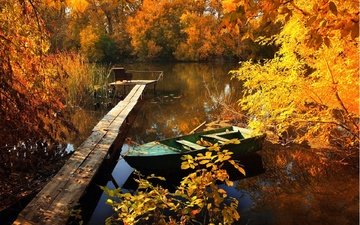 деревья, вода, озеро, природа, мостик, осень, лодка, заводь, желтая листва