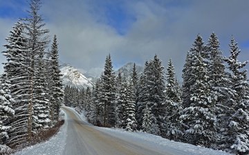 дорога, горы, зима, пейзаж, национальный парк банф