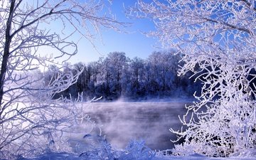 деревья, река, зима, ветки, мороз, иней