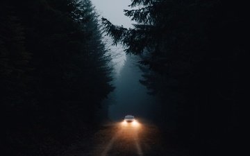 свет, дорога, лес, машина, темнота, фары