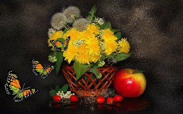 цветы, насекомое, бабочка, крылья, черный фон, ягоды, яблоко, одуванчики, корзинка, натюрморт