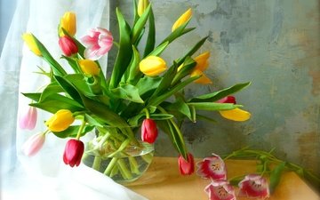 цветы, бутоны, лепестки, букет, тюльпаны, ваза, тюль