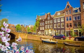 цветы, река, цветение, мост, канал, дома, весна, машины, здания, амстердам