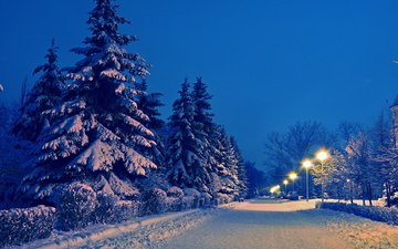 дорога, ночь, деревья, фонари, огни, снег, природа, зима, парк, алея,     деревья