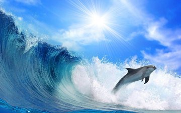 море, прыжок, блеск, дельфин, солнечный свет