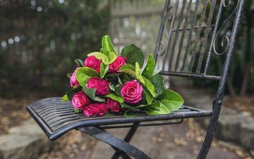 цветы, розы, стул, букет