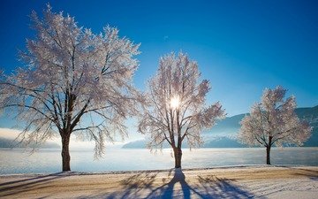 деревья, озеро, природа, зима, норвегия