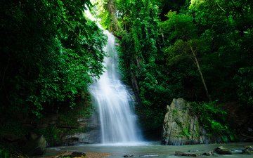 река, природа, зелень, растения, водопад, джунгли