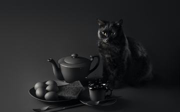 глаза, фон, мордочка, усы, кошка, взгляд, черный, стол, завтрак, чёрная кошка, sanket khuntale, кошка неудачи