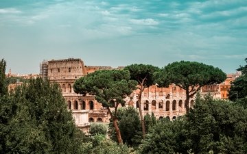 деревья, италия, колизей, рим, памятник архитектуры, амфитеатр