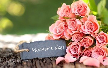 цветы, розы, букет, розовый, праздник, день матери