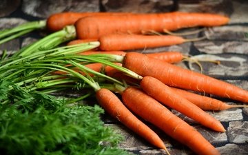 урожай, овощи, морковь