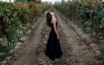 дорога, девушка, настроение, лоза, черное платье, виноградник