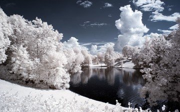 небо, облака, деревья, вода, снег, природа, зима