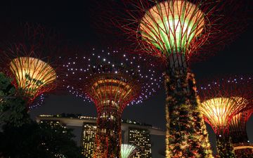 свет, ночь, деревья, огни, дизайн, азия, фейерверк, освещение, достопримечательность, сингапур, креативность