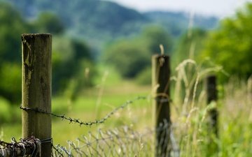 природа, зелень, лето, забор, сетка, колючая проволока, ограда